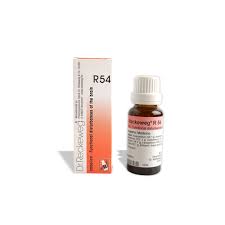 Dr. Reckeweg R54 Memory Drop | 22 ML