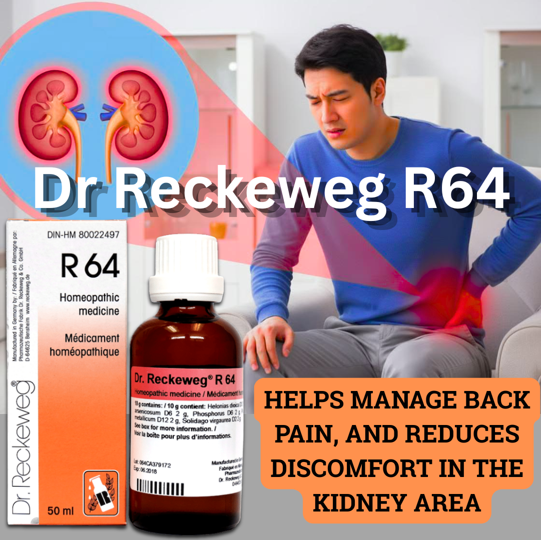Dr. Reckeweg R64 Albuminuria Drop 22 ML  | PACK OF 3 | helps manage back pain, and reduces discomfort in the kidney area