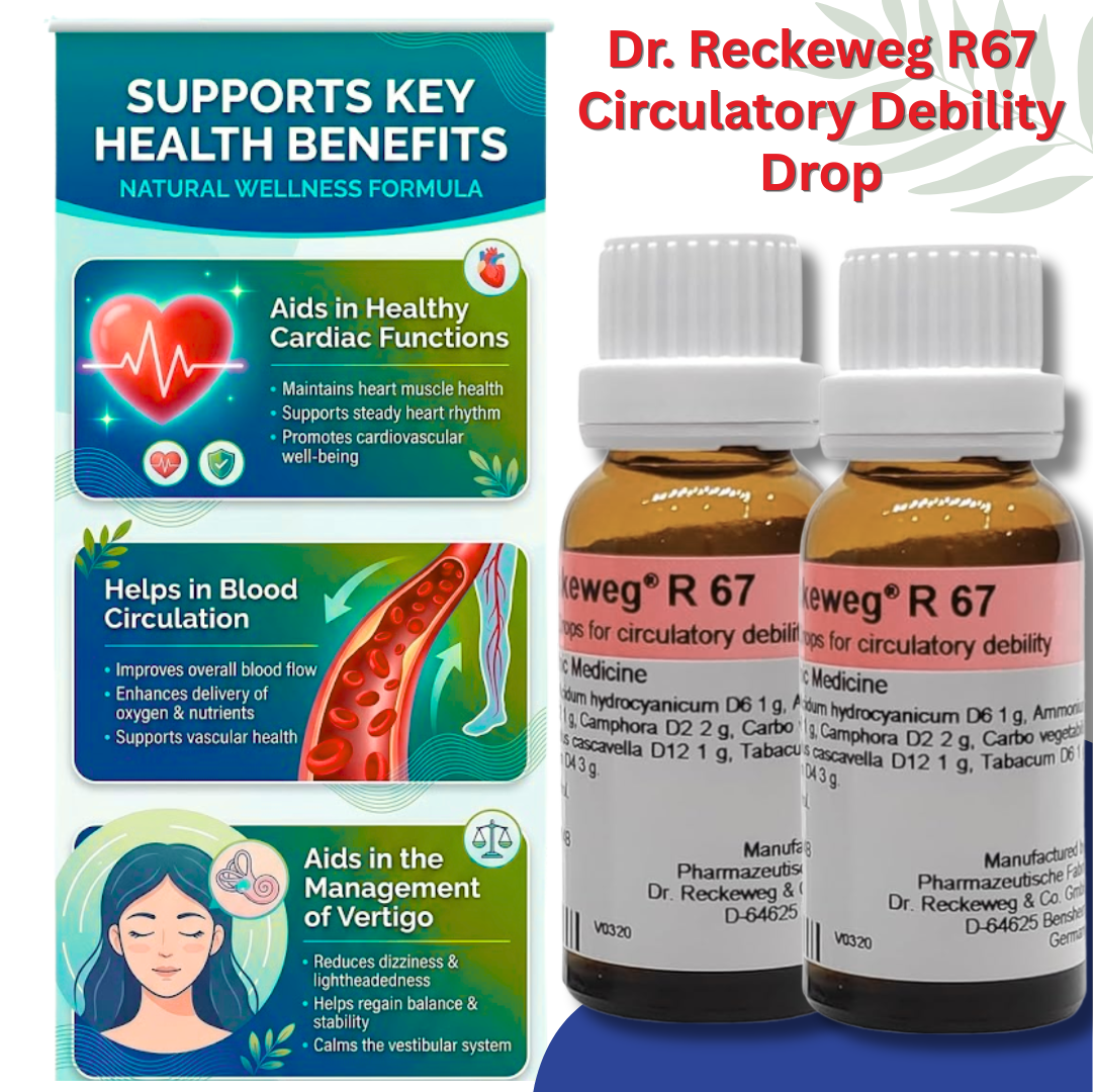 Dr. Reckeweg R67 Circulatory Debility Drop 22 ml| PACK OF 3| Helps in blood circulation