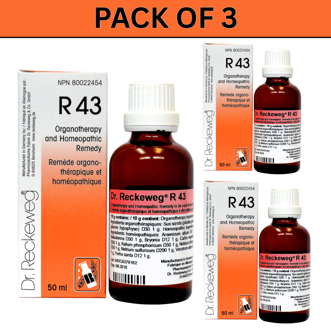 Dr. Reckeweg R43 Bronchial Drop 22 ml | PACK OF 3| It relieves irritation and dry cough & respiratory health