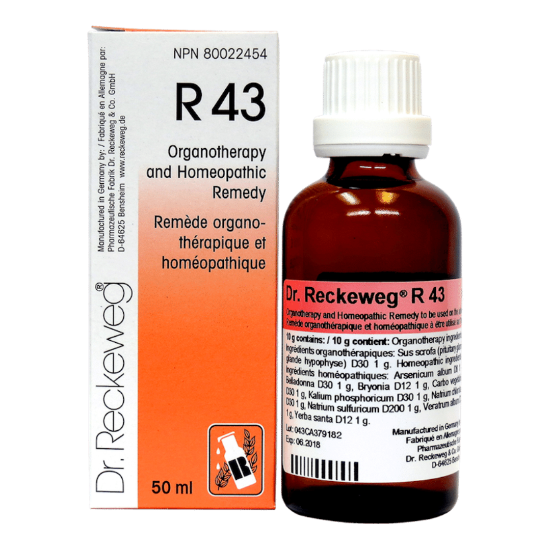 Dr. Reckeweg R43 Bronchial Drop 22 ml | PACK OF 3| It relieves irritation and dry cough & respiratory health