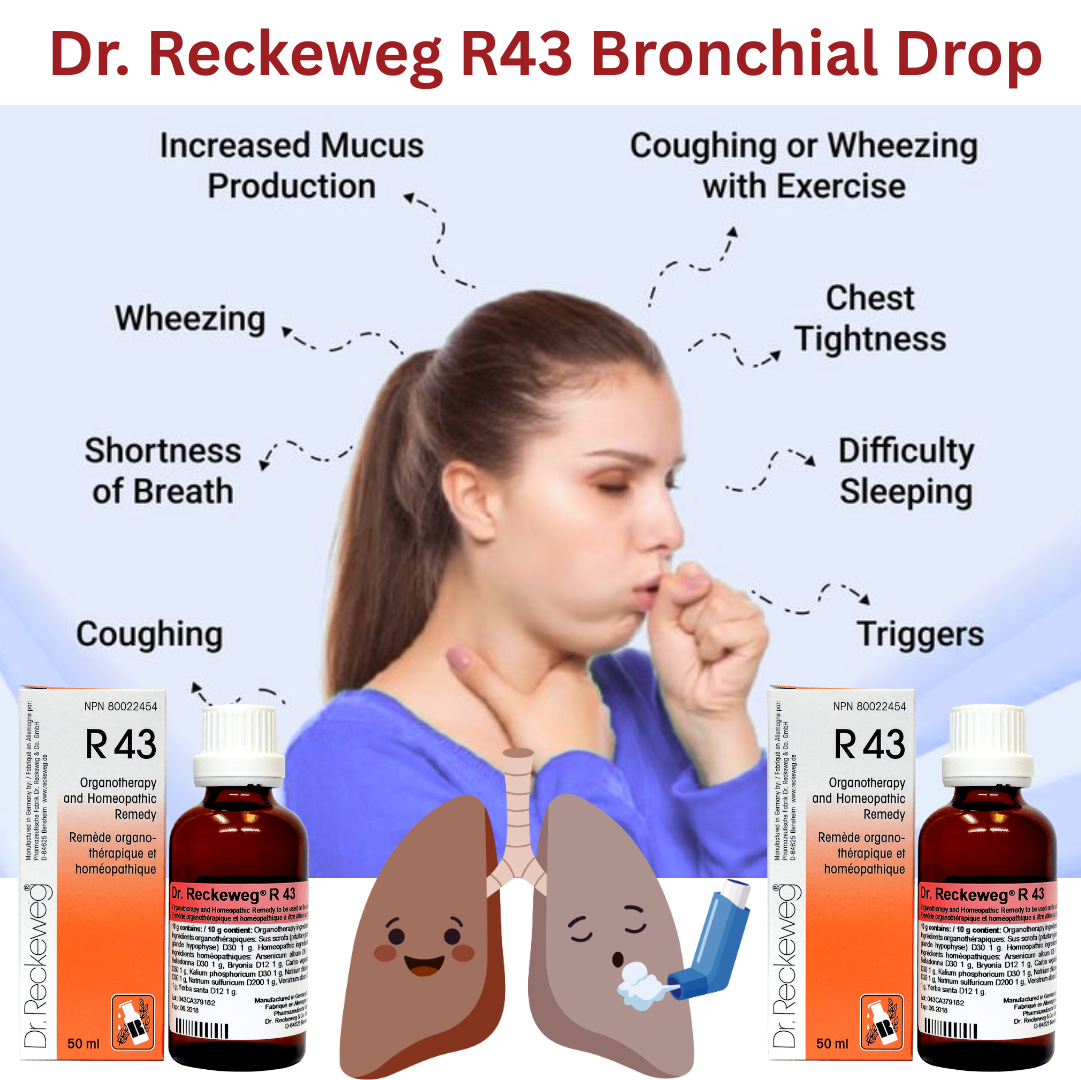Dr. Reckeweg R43 Bronchial Drop 22 ml | PACK OF 3| It relieves irritation and dry cough & respiratory health