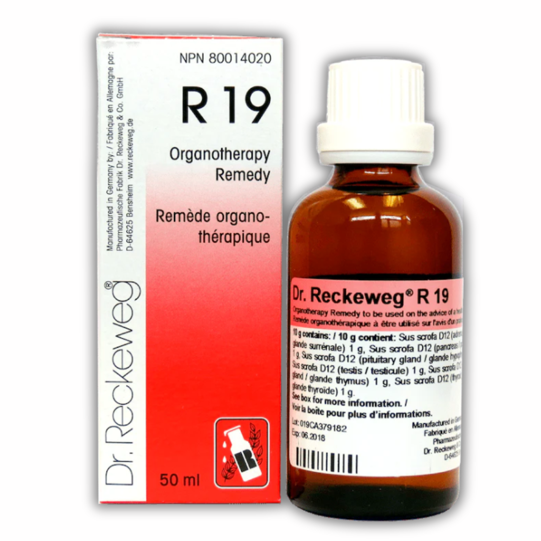 Dr. Reckeweg R19 Glandular Drops 22 ml |  PACK OF 2 | supporting mental wellness