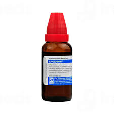 Dr. Willmar Schwabes Angioton Drops | 30 ML | PACK OF 2| Supports Circulatory Health.