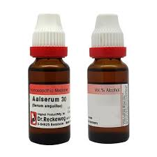 Dr. Reckeweg Aalserum 30 CH | 11 ML | GERMAN | Beneficial for managing kidney health.