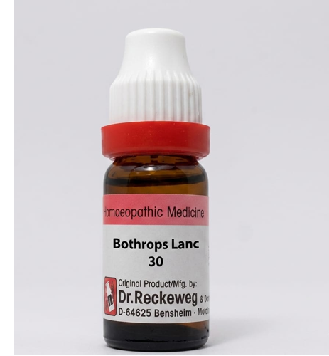 Dr. Reckeweg Bothrops Lanc Dilution 30 CH| 11 ML | GERMAN| Can help manage nervous trembling.