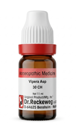 Dr. Reckeweg Vipera Asp 30 CH | 11 ML | GERMAN | Venous Congestion & Varicose Veins.